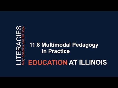 11.8 Multimodal Pedagogy in Practice