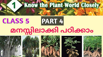 Know The Plant World Closely | Class 5 | Basic Science | Chapter 1 | Part 4