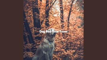 High Class Ambience for Spirited Flow