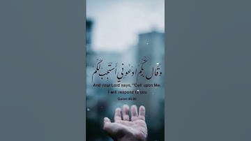 القرآن الكريم بصوت جميل يزيل الهموم والأحزان#اكسبلور #دويتو #لايك #المصحف #قرآن#duet#ترند#حالات_واتس