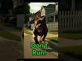If a dog charges... Do this Immediately