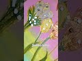 #foryou #art #mirrorart #wallhanging #viral #mirrorwork #viralvideo
