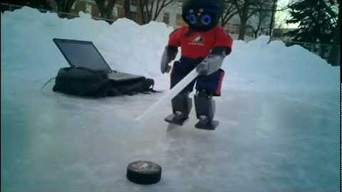 Humanoid Robot Ice Hockey Player