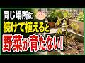 知らないと野菜が育たない!同じ場所に植えると危険な連作障害の原因と有効な対策~初心者・プランター家庭菜園~