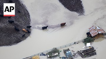 Aerial video shows severe flooding in Washington state