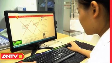 Phát Hiện Thêm Nhiều Tên Miền Giả Mạo Ngân Hàng Để Lừa Đảo | Tin Tức 24h | ANTV