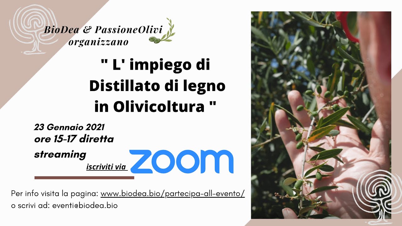 BioDea: "L' impiego del Distillato di Legno in Olivicoltura" con Passione Olivi | 23 Gennaio 2021
