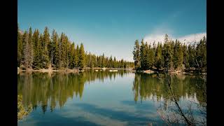 Lesson 135 - A Course in Miracles (ACIM) Workbook