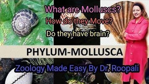 Phylum-Mollusca (Part-1) Lecture-9 |Introduction | General Features | #Biology #Invertebrates