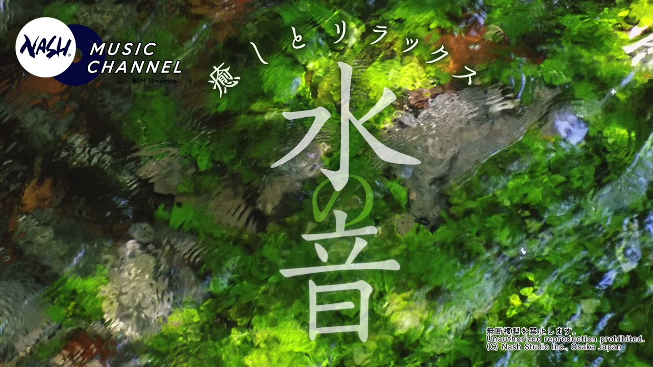 心地よい水の音のbgm Asmr 癒し効果抜群 この番組を制作中のスタッフたち全員が眠くなりました Youtube