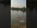 7 червня 2025 р.