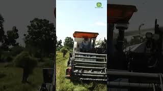 Best Combine Harvester Machine Technology Working At Rice Farm 13