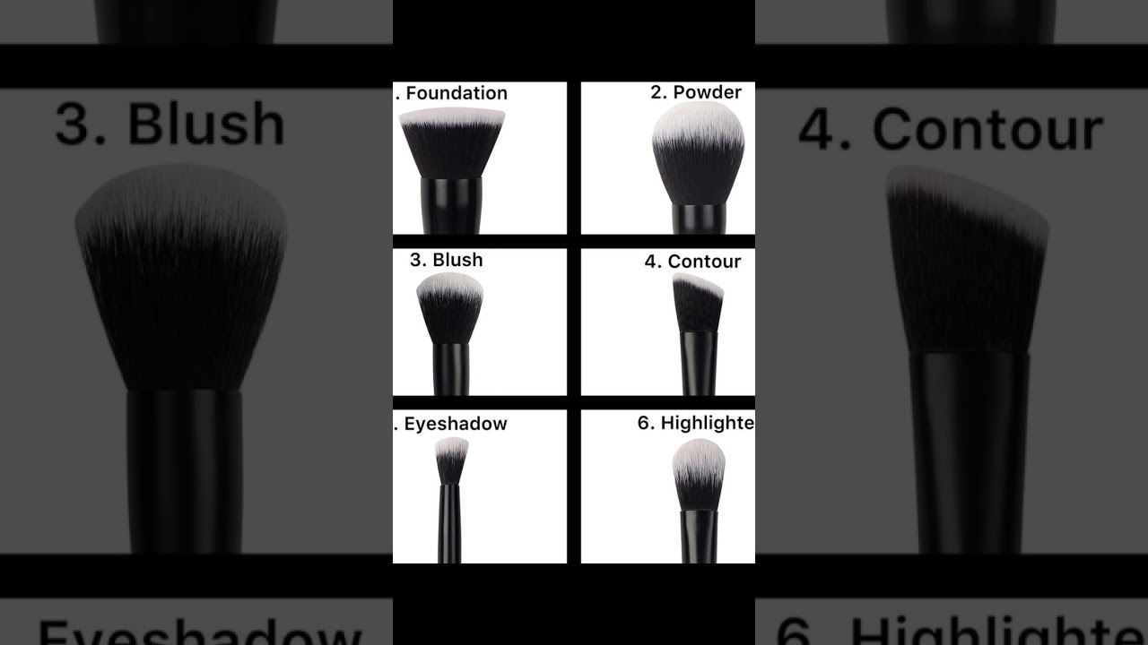 Makeup Brushes Knowledge shorts viral brush ytshorts YouTube