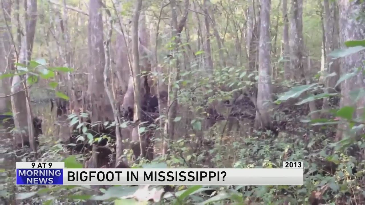 2 men claim to see Bigfoot in southern Ohio park