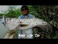 UNKNOWN WORLD VOL.4 [ 福岡シーバス編 ] by 大野ゆうき
