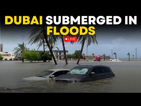 Dubai Rain News LIVE | Heavy Rain In Dubai Leads To Flood In Desert City Of Dubai | Times Now LIVE