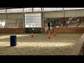 Working Equitation