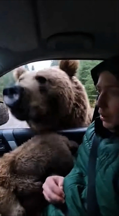 Avoid Eye Contact 🧸👀😱 #shorts