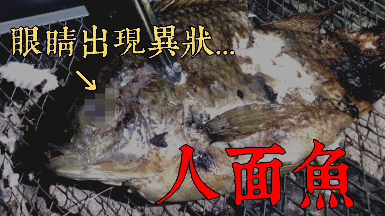 【都市傳說】真實版人面魚！魚眼竟出現異狀！碧潭用紙錢烤魚！(王狗)