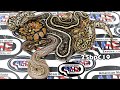 25bpC19 fm OD Spotnose Fire Het Clown x m Clown Stranger Lesser
