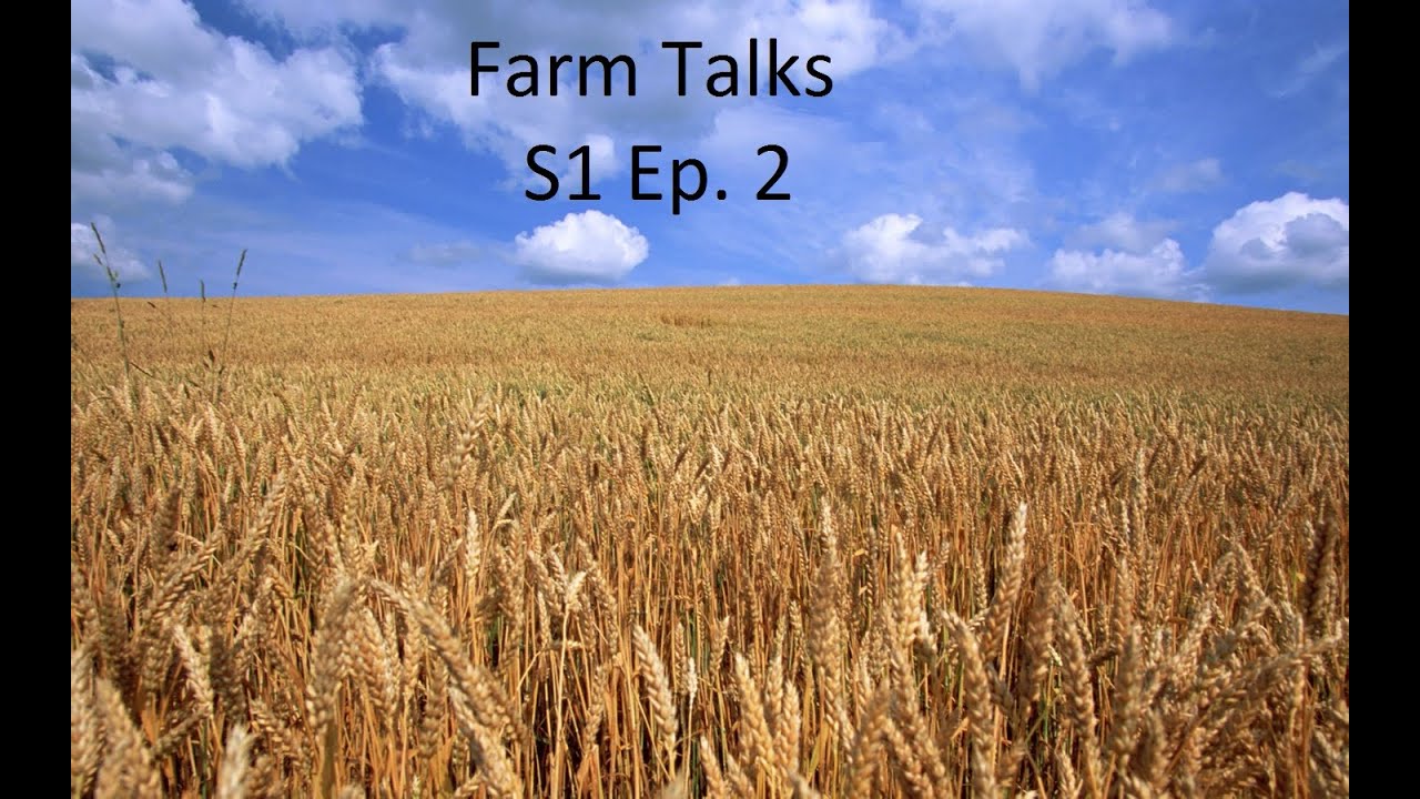 Farmer Buys ground to stop subdivision (Farm Talks S1 E2)