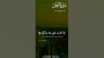 وَاصْبِرْ وَمَا صَبْرُكَ إِلَّا بِاللَّهِ ۚ🖤#صلاح بوخاطر #اسلام صبحي #قران #قرآن #قران كريم #القران