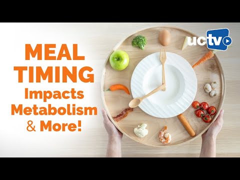 Meal Timing Impacts Metabolism and More