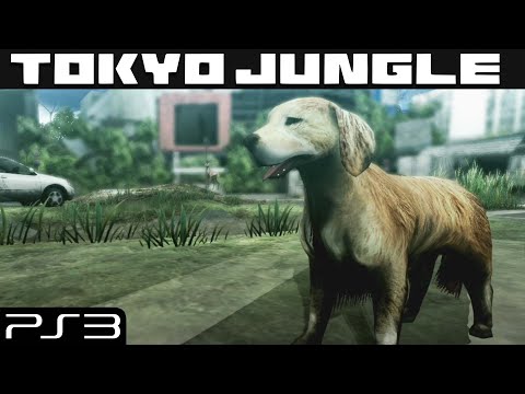 Vídeo: Jogos De 2012: Tokyo Jungle