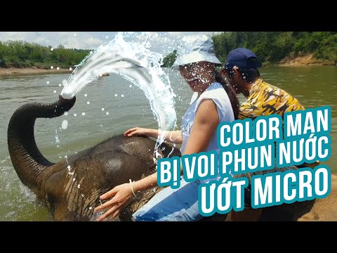 Video Sợ vãi linh hồn cưỡi voi không bảo hộ vượt sông Nam... - youtube