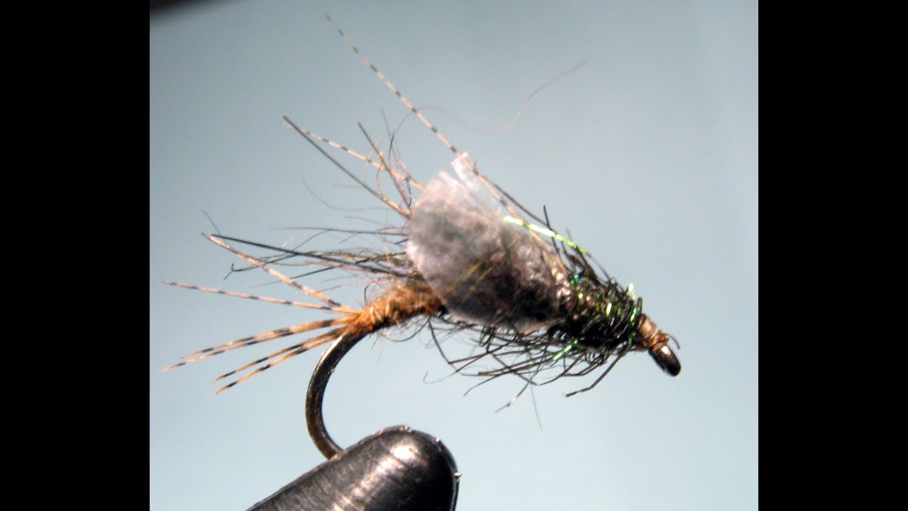 FlySpoke Fly Tying The Shane Stalcup Caddis Emerger Trout Fly Nymph