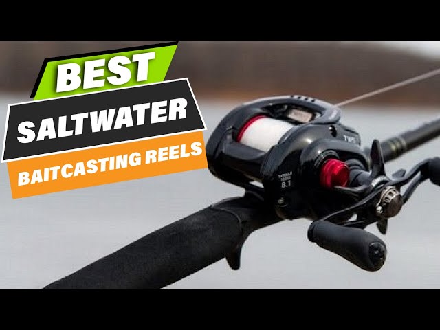 Top 10 Best Baitcasting Reels for Saltwater On  