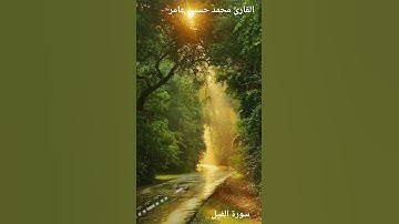 القارئ محمد حسين عامر | سورة الفيل #trending #اليمن #quran