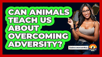 Can Animals Teach Us About Overcoming Adversity? - The Documentary Reel