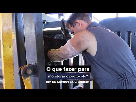 O que fazer