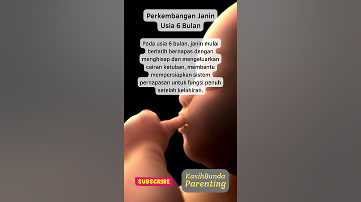 Janin Usia 6 Bulan - Perkembangan Sistem Pernafasan