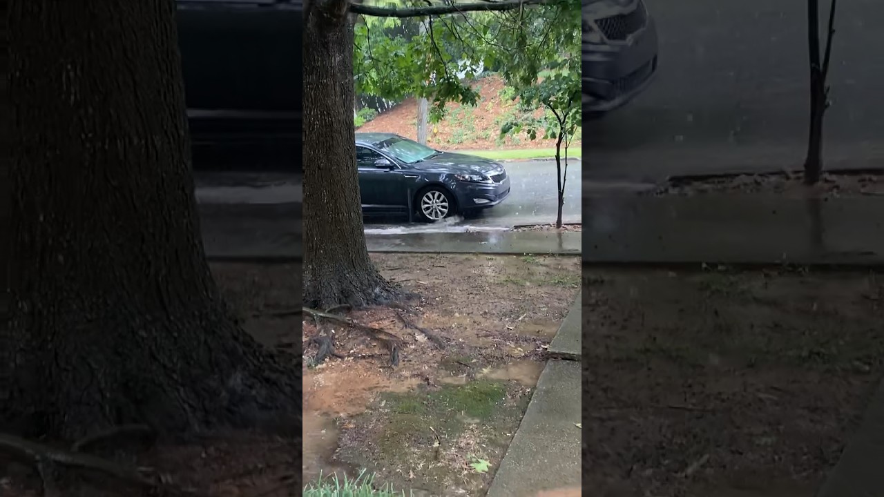Rule #2307 My Car Is Surfing On The Street.. #rain #flood #car #surf #shorts adlı videoyu YouTube'da izle Rule #2307 My Car Is Surfing On The Street.. #rain #flood #car #surf #shorts adlı videoyu YouTube'da izle