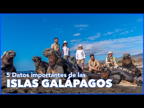 5 Datos importantes