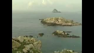 Walet di gua vietnam panen terbesar...