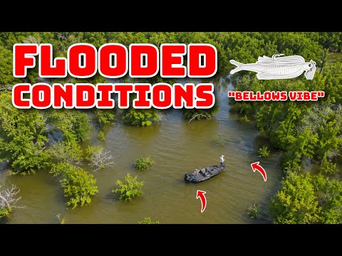 This Lake Has Never Fished This Good… | Grand Lake Practice Vlog