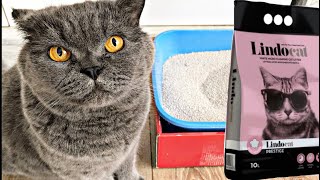 En Kullanışlı Kedi Kumu Hangisi? İnce Taneli Mi - Kalın Taneli Mi? Kedi Videoları Kedi Kumu