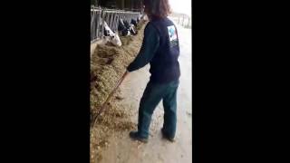 Mannequin Challenge Courcelles