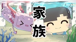 Macaron Anime Studio Youtube