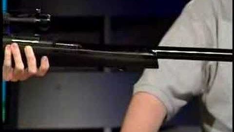 Dave Randolph NES Duck Hunt Zapper Snapper AOTS