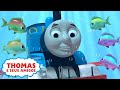 Thomas o Submarino | Compilação | Desejos mágicos de aniversário do Thomas | Desenho Animados