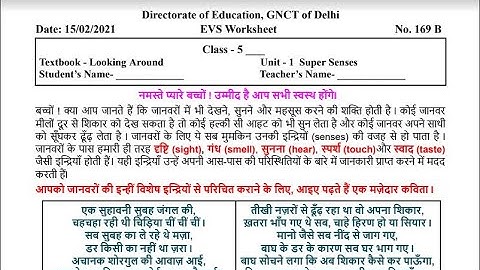 Worksheet169B| Super Senses| Workbook Pages 2,3,4,5| EVS| DOE class 5 (15-2-21) | API online classes