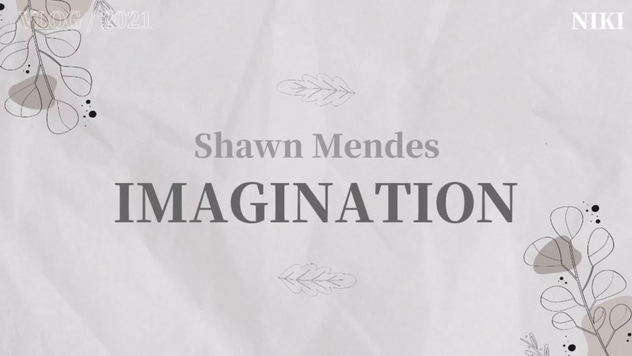 Shawan Mendes - Imagination (Lyrics) - YouTube