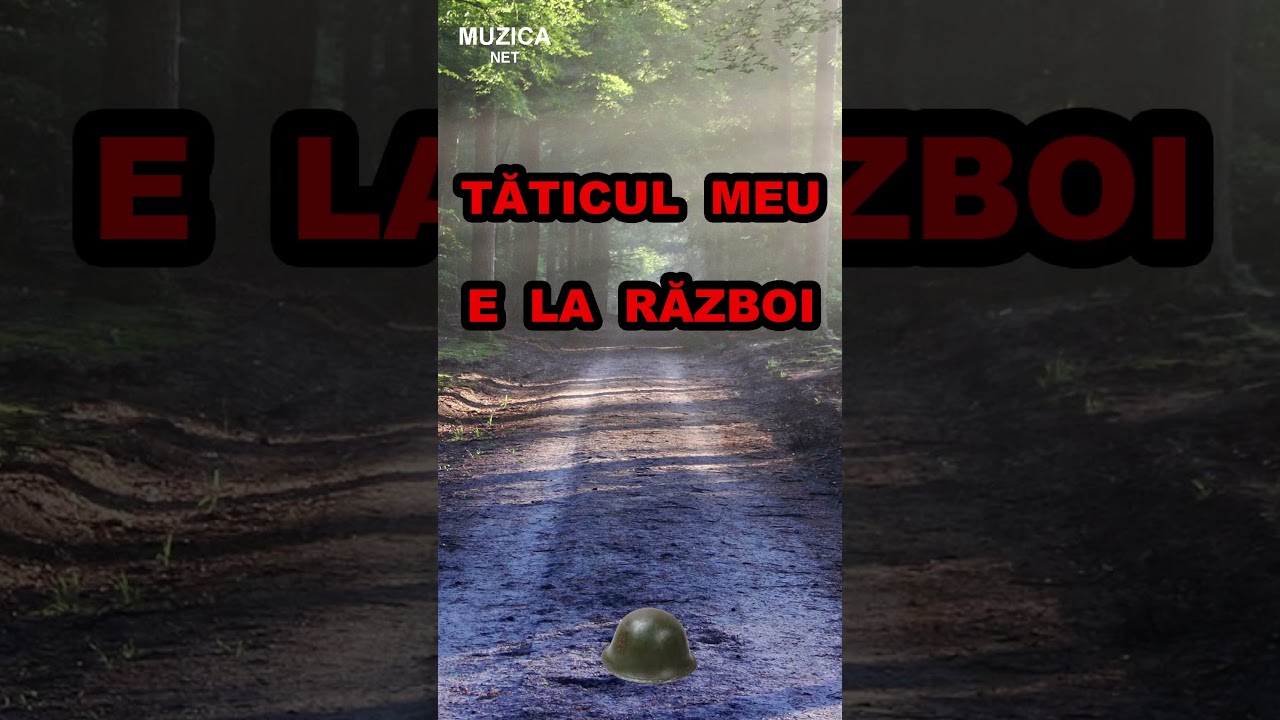 Tăticul meu e la război | Muzică rom&acirc;nească