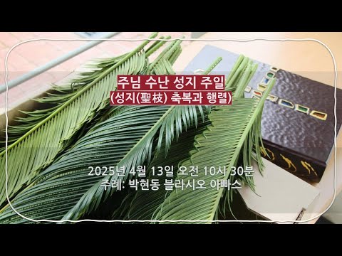 영상썸네일