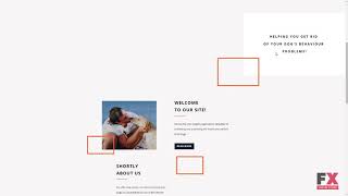 Smart Animals Website Template TMT | Free Template  Stewart Jeptha