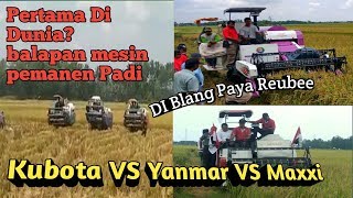 BALAPAN MESIN PEMOTONG PADI' ADU TENAGA KUBOTA VS MAXXI VS YANMAR